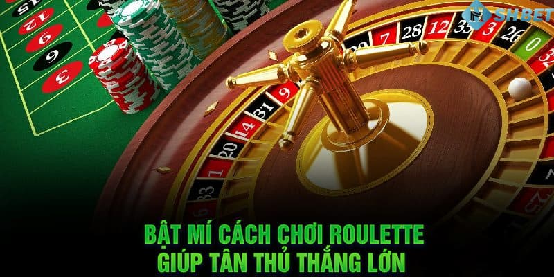 Mẹo chơi roulette đánh số quay vòng hiệu quả