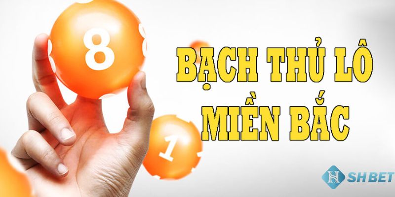 Cách chơi bạch thủ lô miền bắc chuẩn xác nhất: Chiến lược và mẹo hữu ích