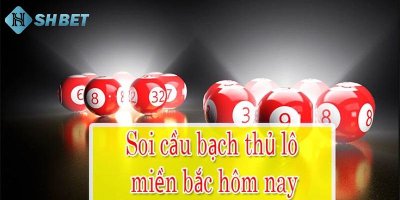 Bắt bạch thủ lô miền bắc qua giải cực hiệu quả