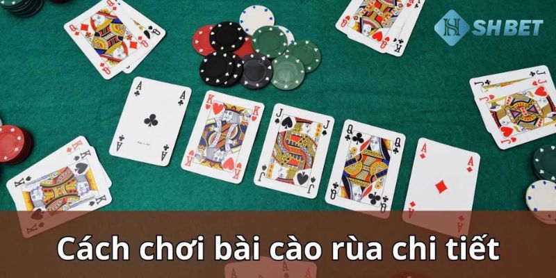 Tại sao bài cào rùa là trò chơi bài được ưa chuộng nhất?