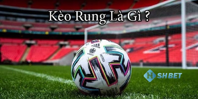 Bí quyết đặt cược kèo rung thành công