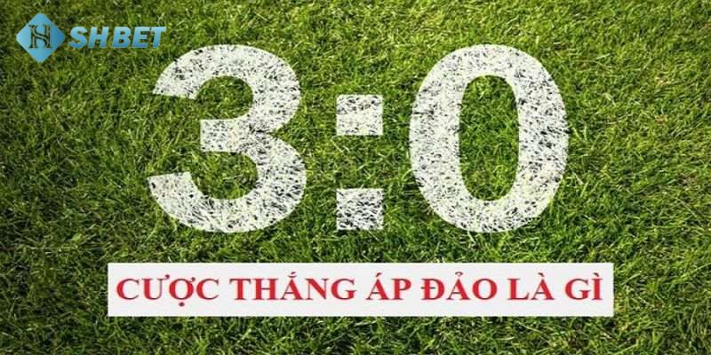 Bật mí những bí quyết chơi cược thắng áp đảo hiệu quả