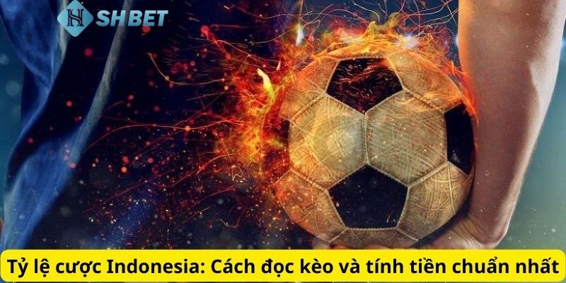 Tìm hiểu về quy luật cơ bản đối với tỷ lệ cược Indonesia