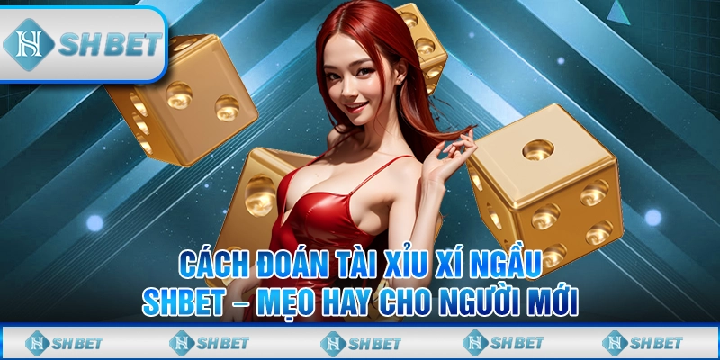 Cách Đoán Tài Xỉu Xí Ngầu SHBET – Mẹo Hay Cho Người Mới