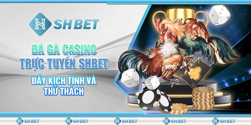 Đá Gà Casino Trực Tuyến SHBET: Đầy Kịch Tính Và Thử Thách