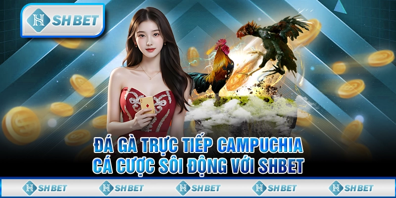 Đá Gà Trực Tiếp Campuchia - Cá Cược Sôi Động Với SHBET