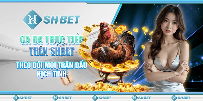 Gà Đá Trực Tiếp Trên SHBET: Theo Dõi Mọi Trận Đấu Kịch Tính