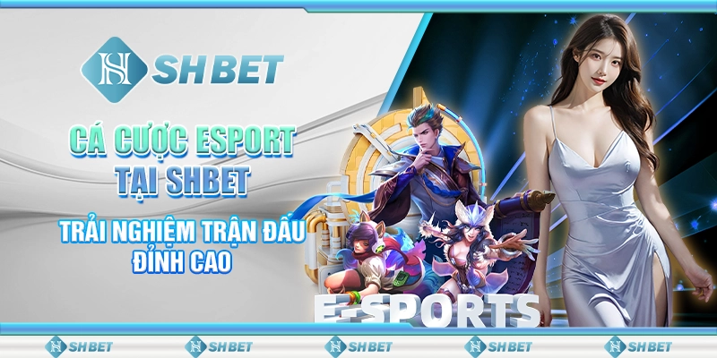 Cá Cược Esport Tại SHBET: Trải Nghiệm Trận Đấu Đỉnh Cao