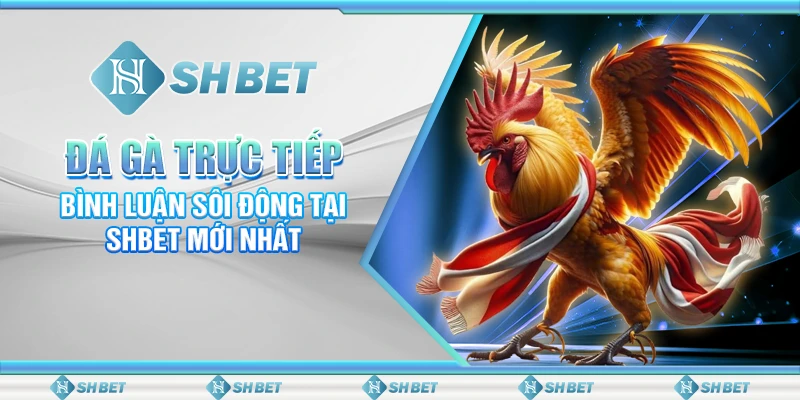 Đá Gà Trực Tiếp Bình Luận Sôi Động Tại SHBET Mới Nhất